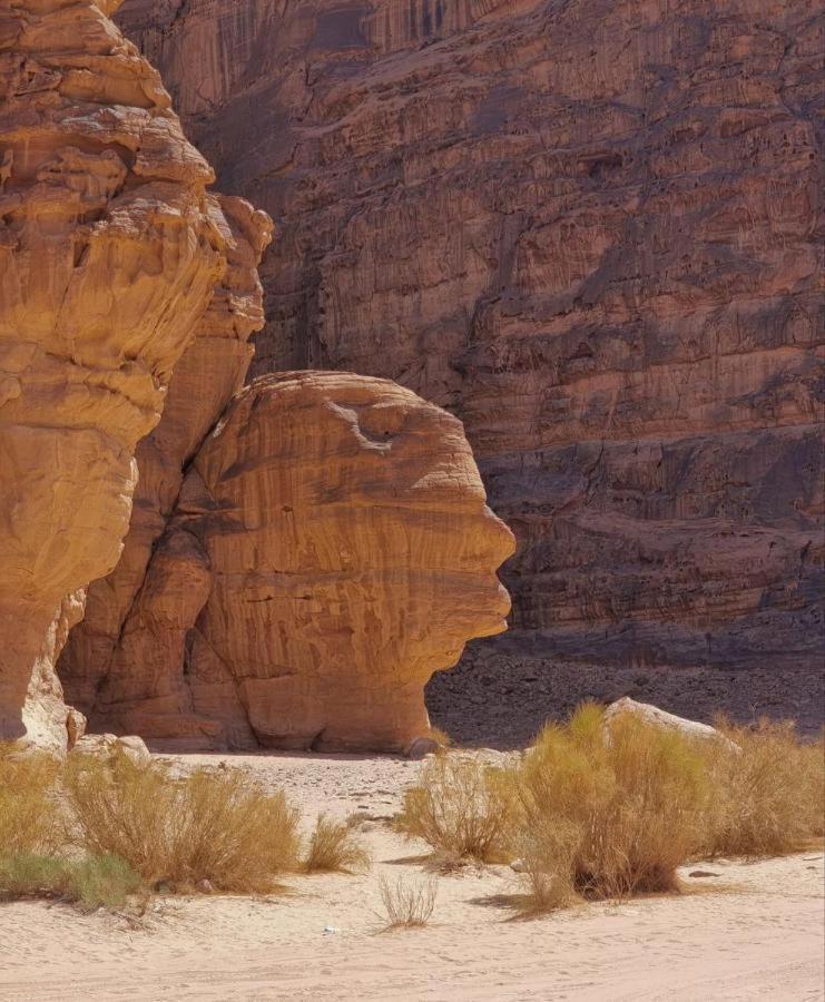 Star Rum Wadi Rum Ngoại thất bức ảnh
